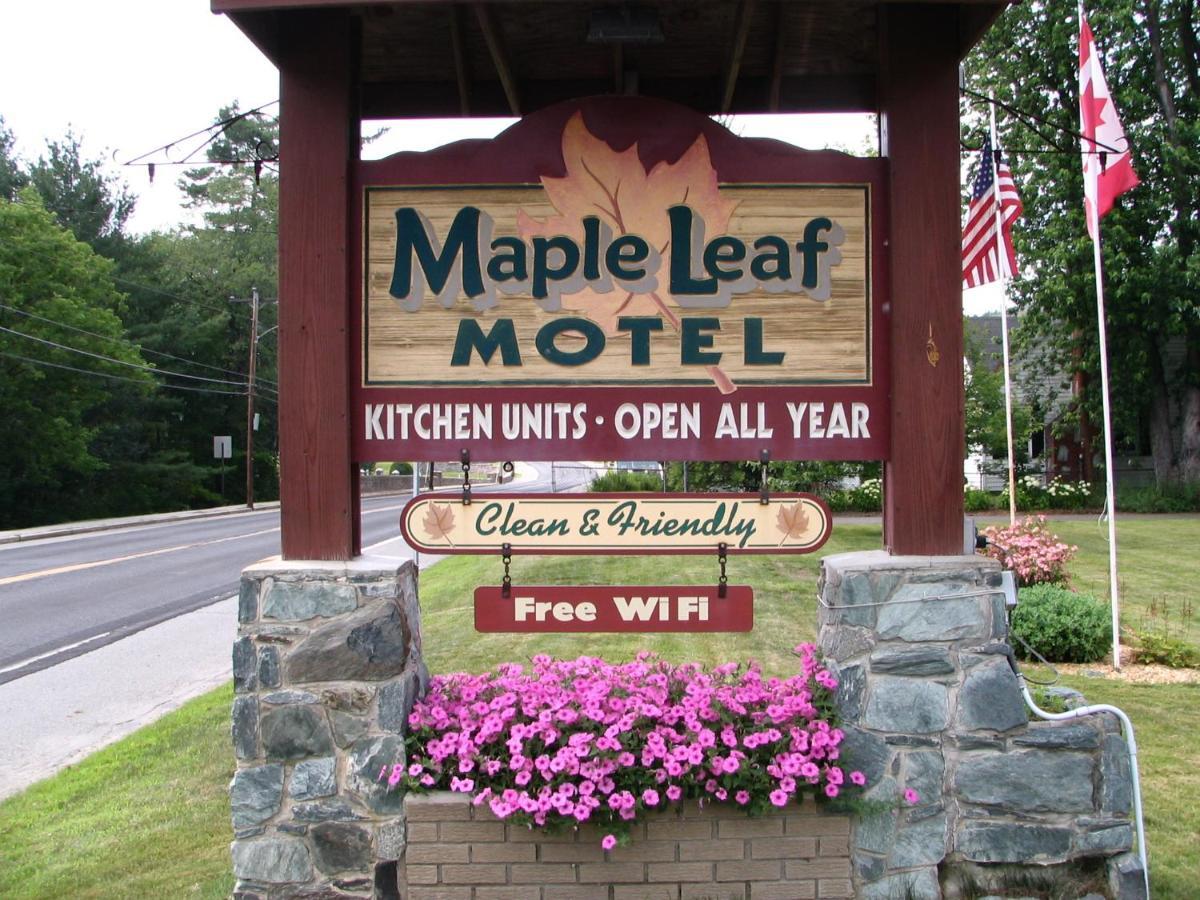 Maple Leaf Motel Littleton Extérieur photo